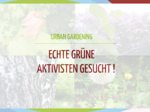 Read more about the article Urban Gardening – Wir suchen Teilnehmer!