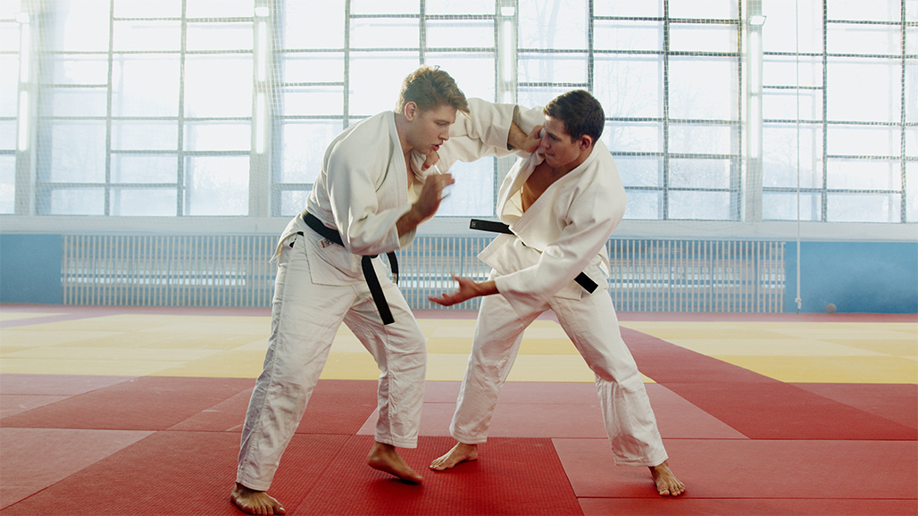 Read more about the article Karate in Dresden Plauen